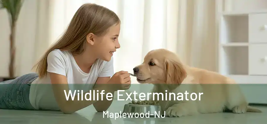  Wildlife Exterminator Maplewood-NJ