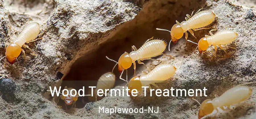 Wood Termite Treatment Maplewood-NJ