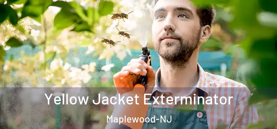  Yellow Jacket Exterminator Maplewood-NJ